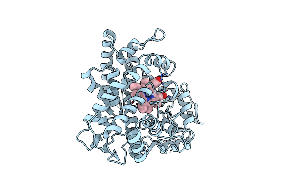 6GMF image
