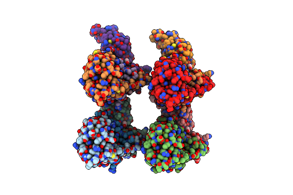 6GMN image