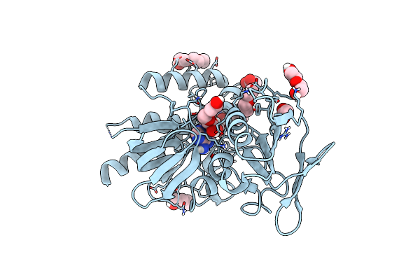 6GNB image