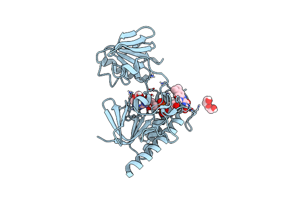 6GNC image