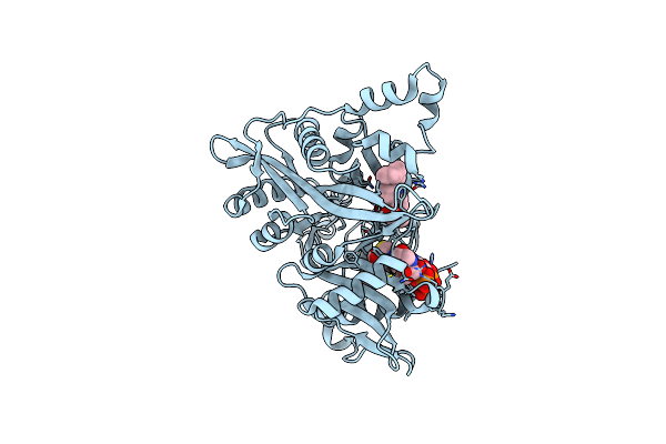 6GNH image
