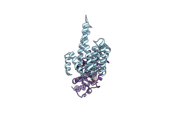 6GNN image