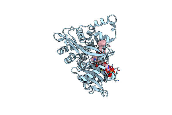 6GNS image