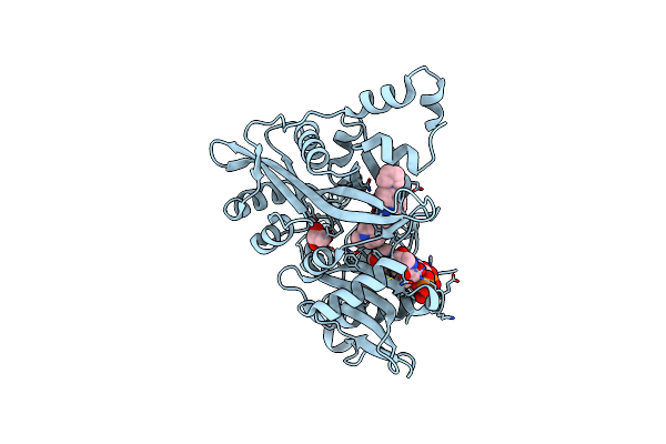 6GNT image