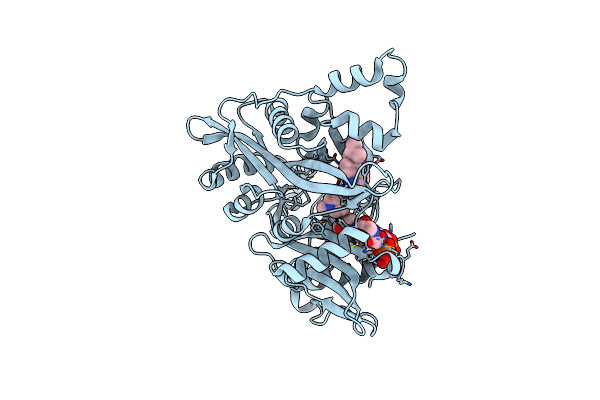 6GNU image