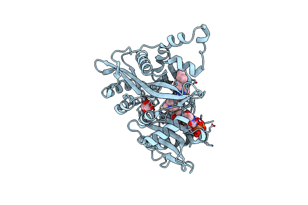 6GNV image
