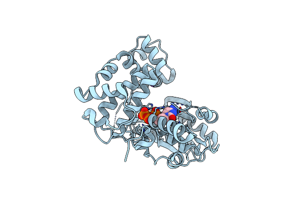 6GO4 image