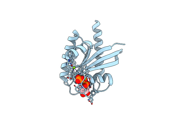 6GOF image