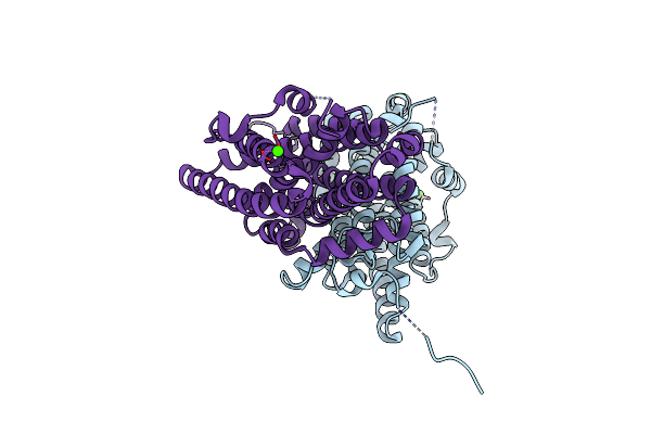 6GP2 image