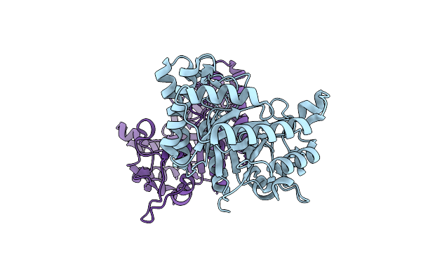 6GP5 image