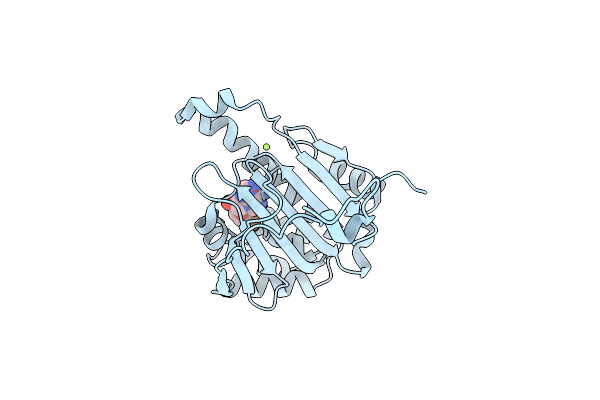 6GPH image