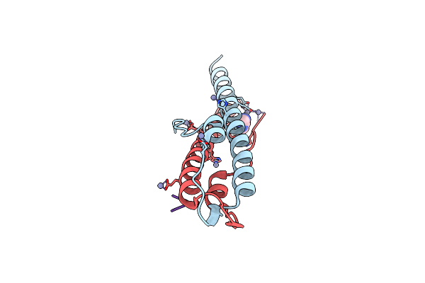 6GPZ image