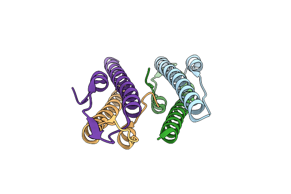 6GQA image