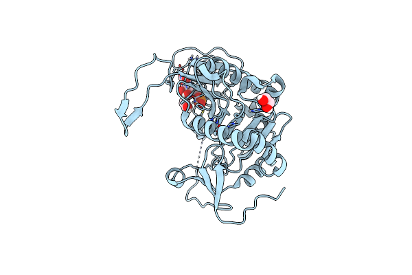 6GQD image