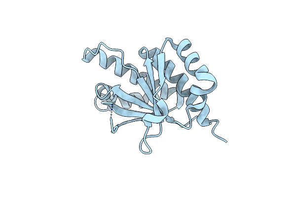 6GQE image