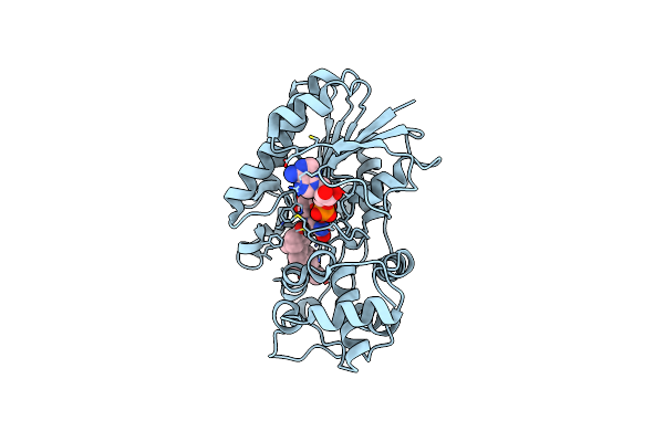 6GSD image