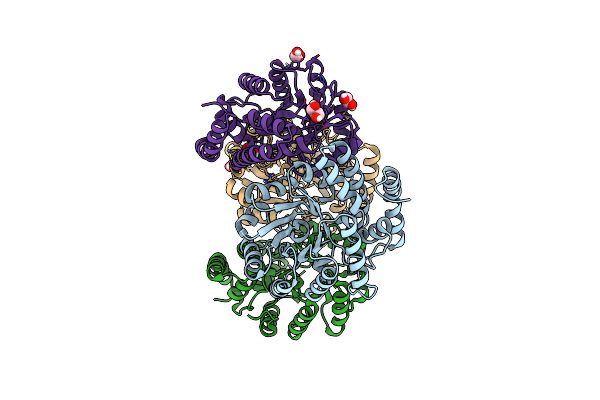 6GSO image