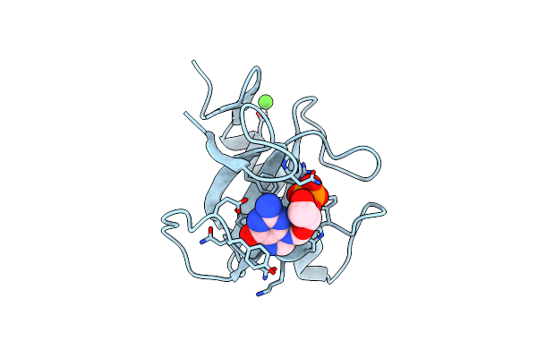 6GSP image