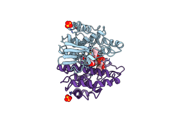 6GSV image