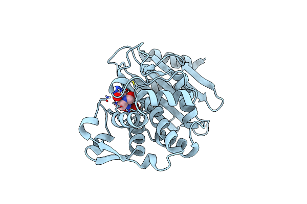 6GTH image