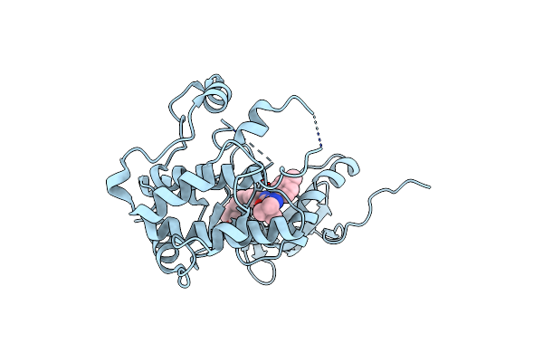 6GTT image