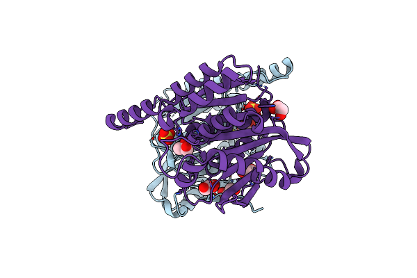 6GUG image
