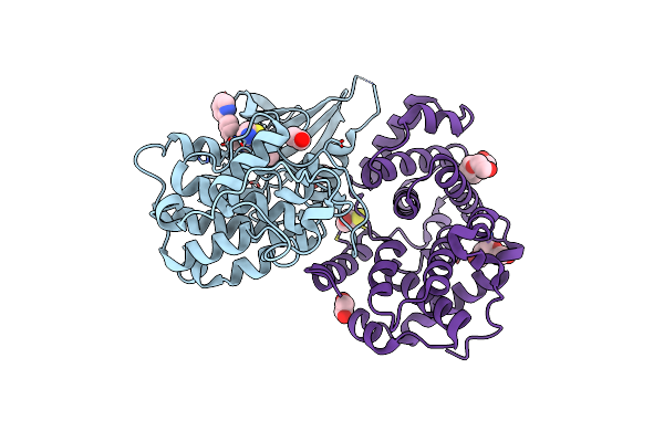 6GVA image