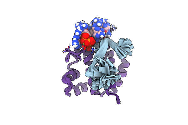 6GVT image