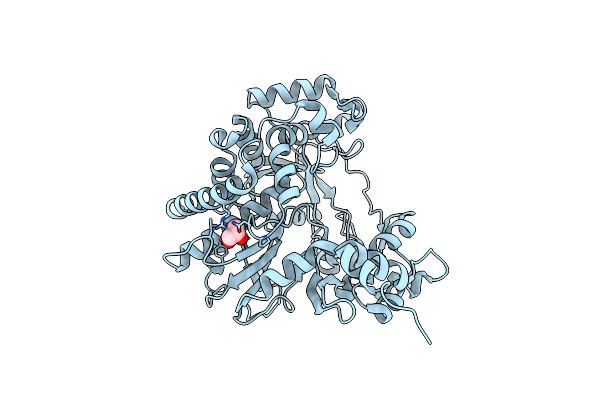 6GVV image