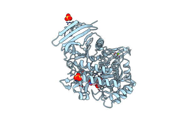 6GWF image