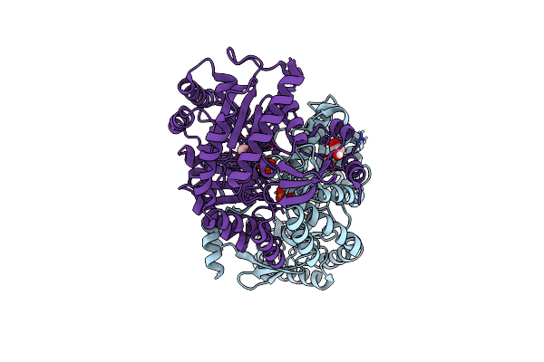 6GWI image