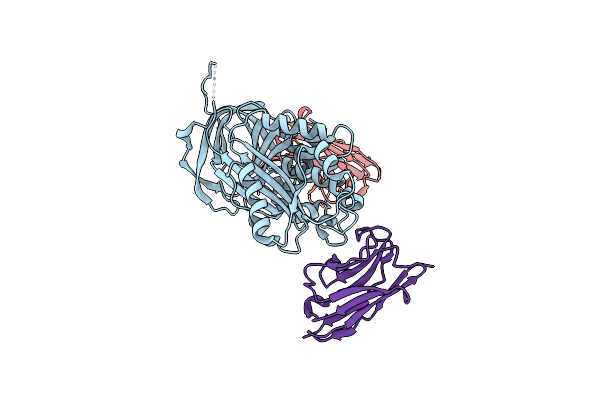 6GWP image