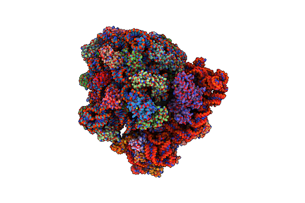 6GWT image