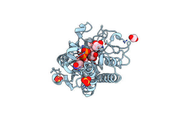 6GX2 image