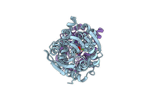 6GXT image