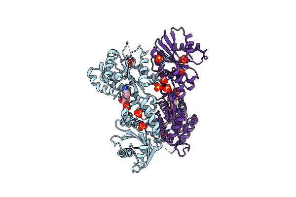 6GYE image