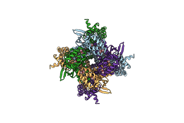 6GYN image