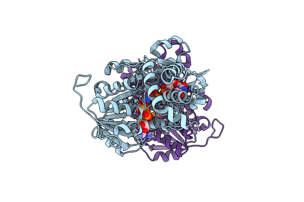 6H0N image