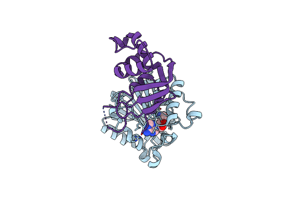 6H1D image
