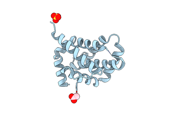 6H1N image
