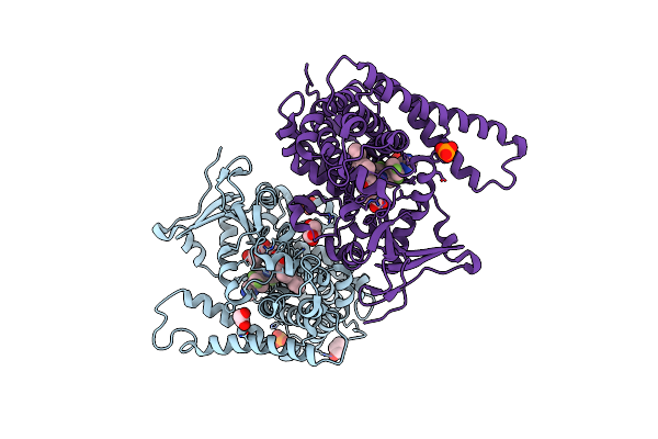 6H1O image
