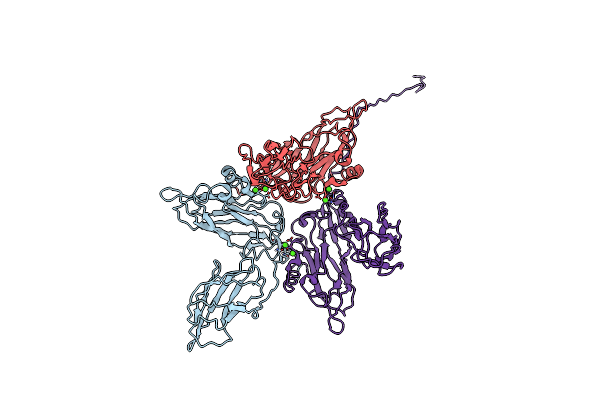 6H2B image