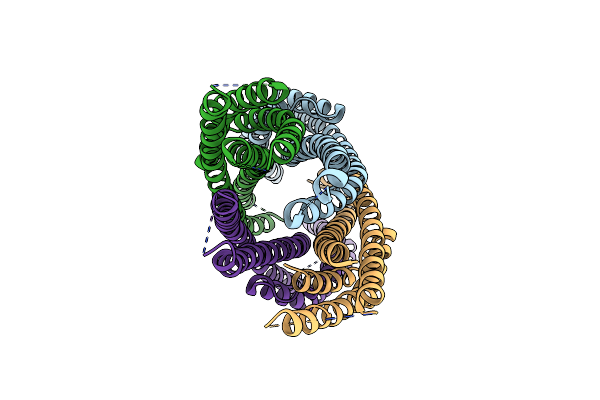 6H2D image