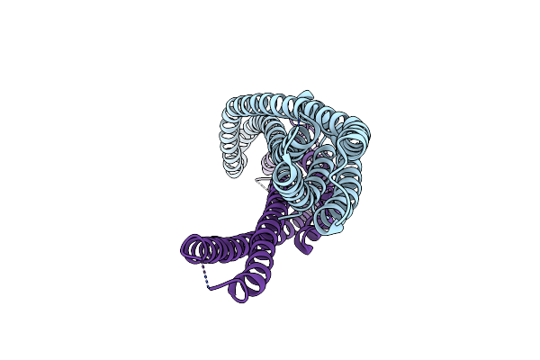 6H2E image