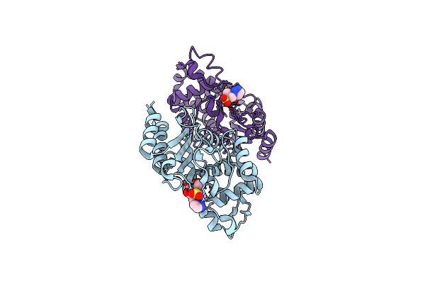 6H2I image