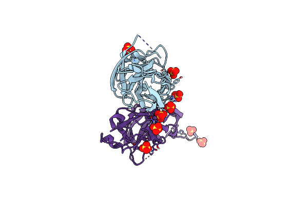 6H2L image
