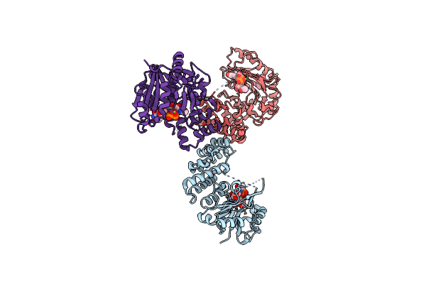 6H2N image