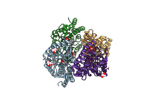 6H2S image
