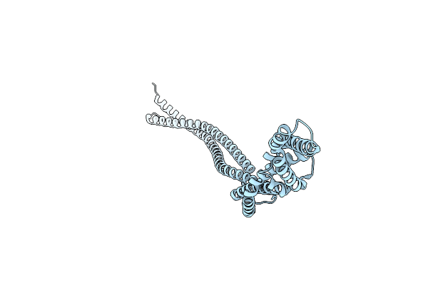 6H2X image