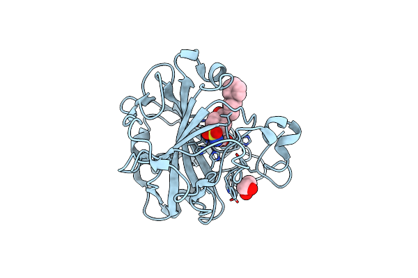 6H2Z image